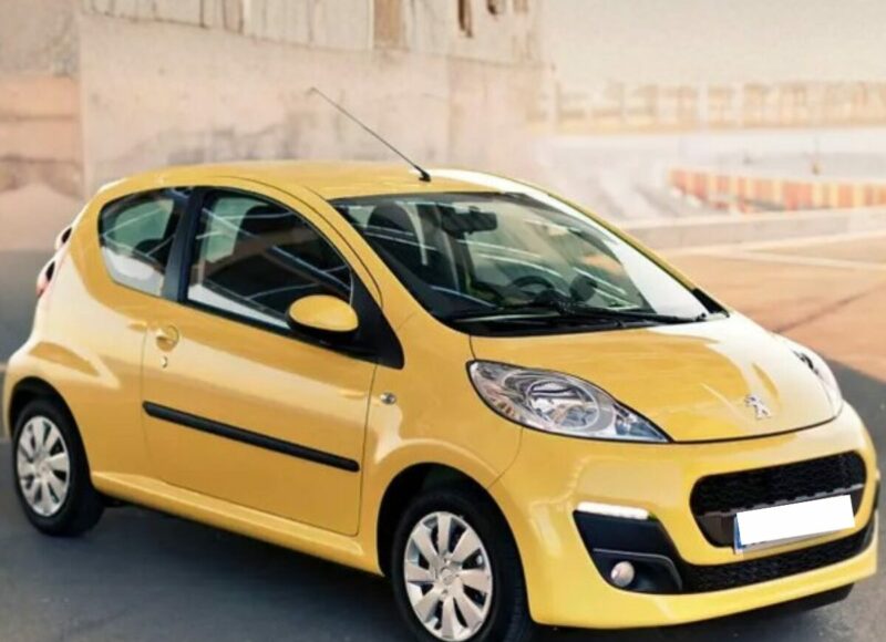 changement-courroie-distribution-peugeot-107